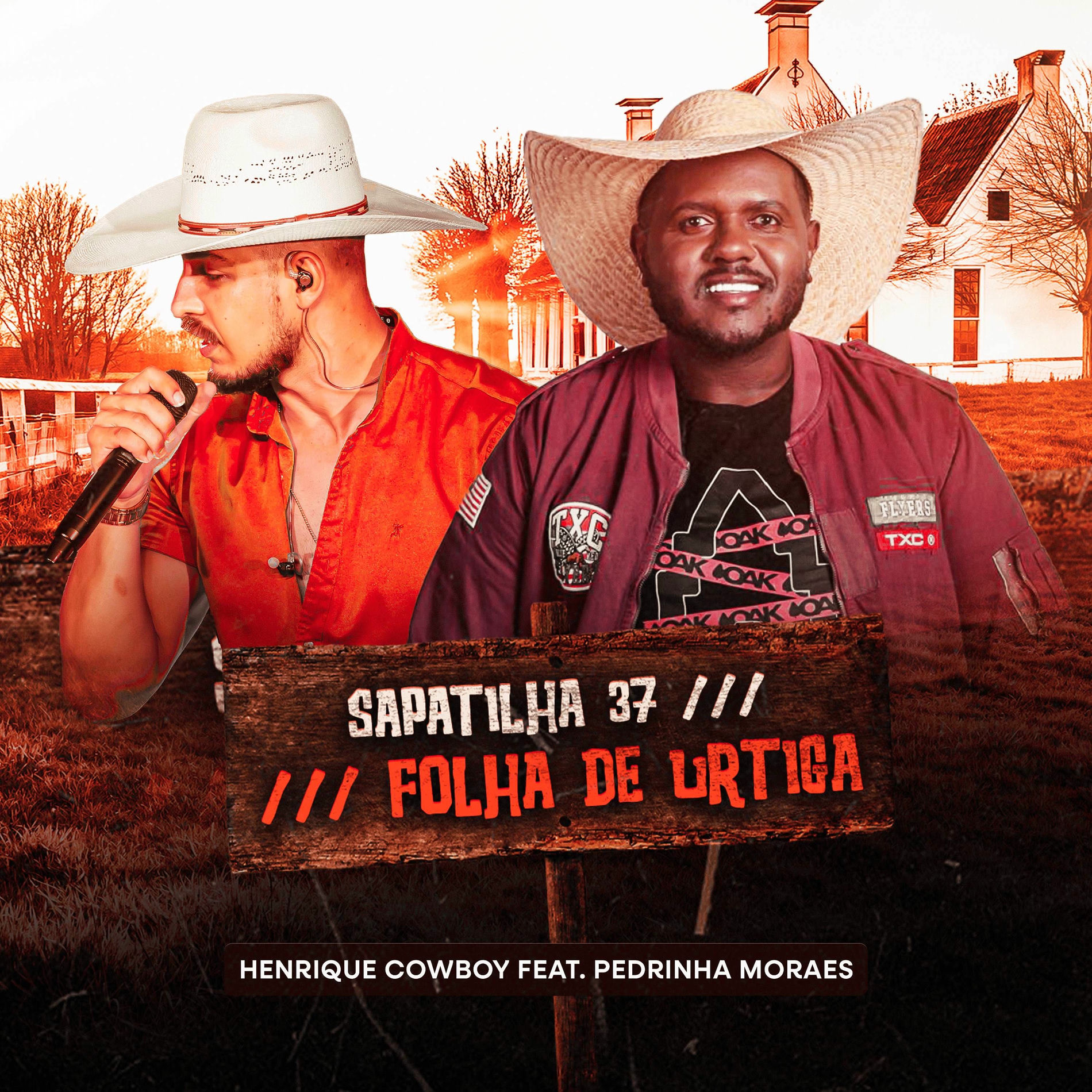 Album cover of Sapatilha 37 / Folha de Urtiga
