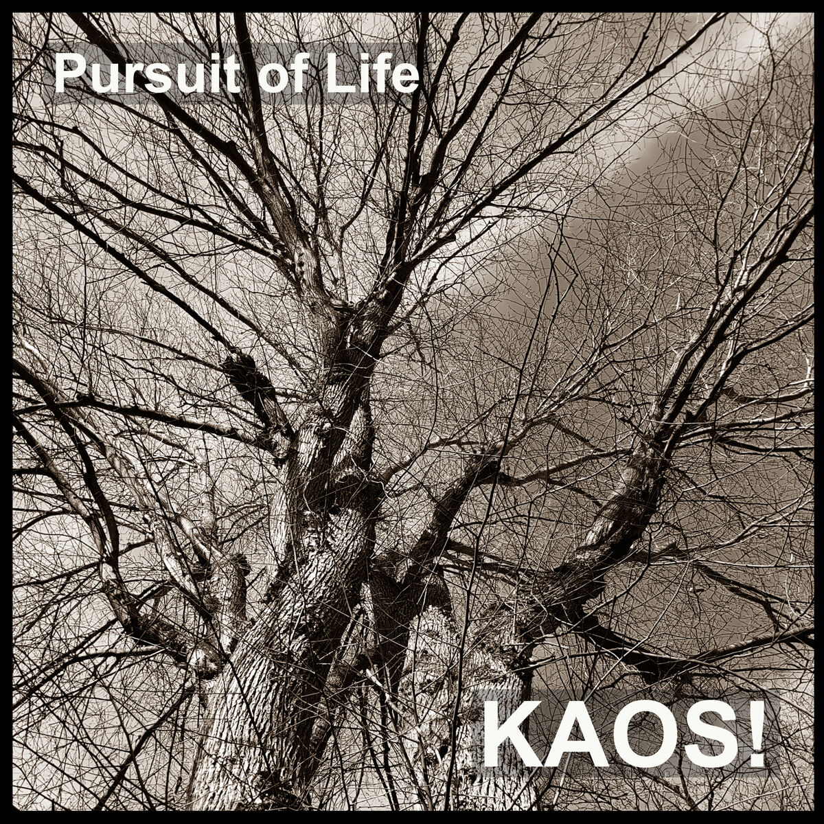 Album cover of Pursuit of Life