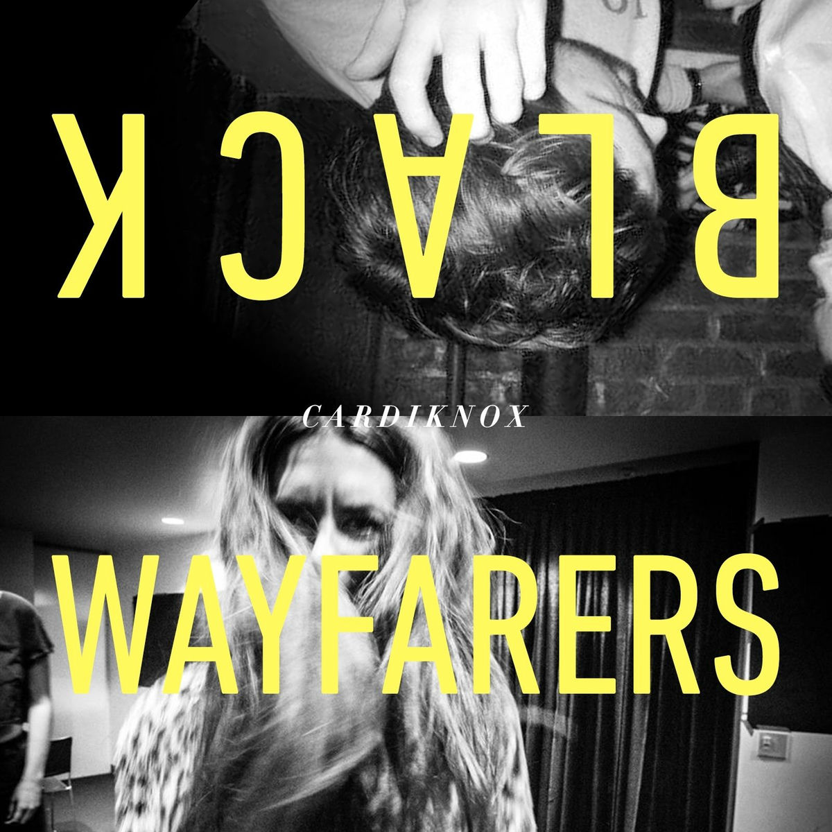 Album cover of Black Wayfarers