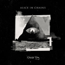 Cover of Rainier Fog