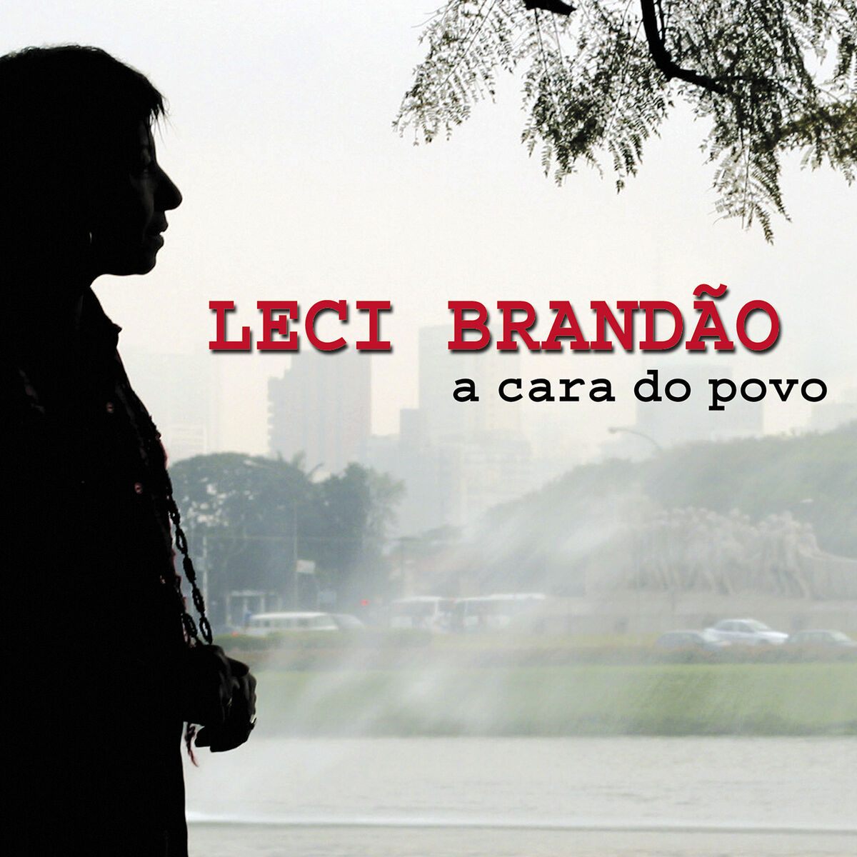 Album cover of Perdoa