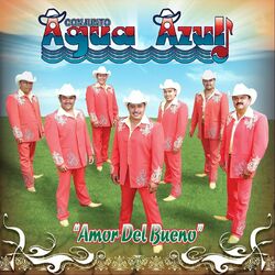 Cover of Amor del Bueno