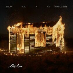 Cover of Piel