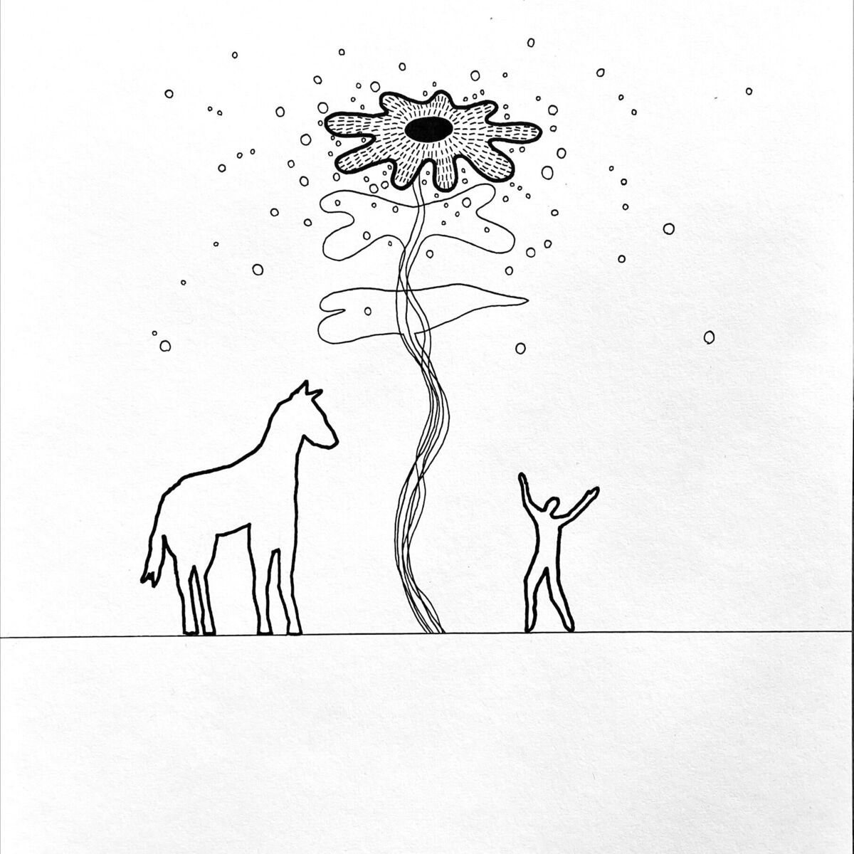 Album cover of Blossoms