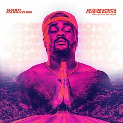 Cover of Chirimumoyo Chirimuninga