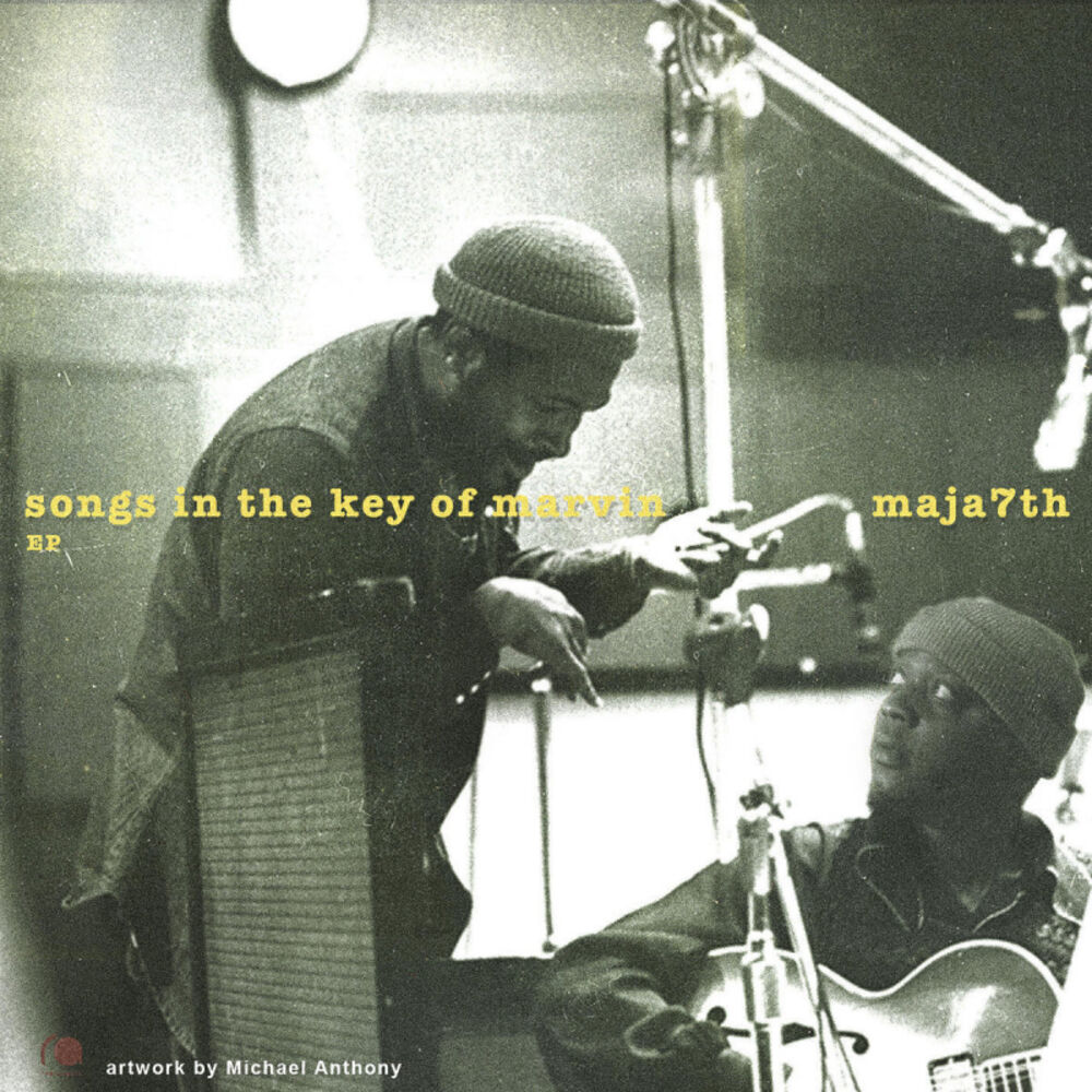 Picture of Songs In The Key Of Marvin