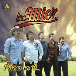 Cover of Pienso en Ti