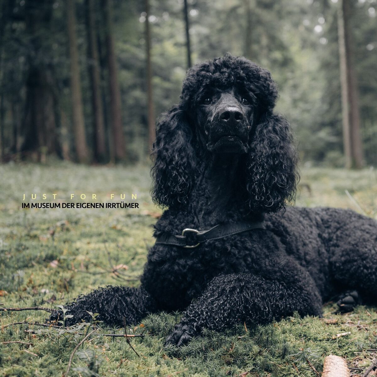 Album cover of Du mit dem Hund