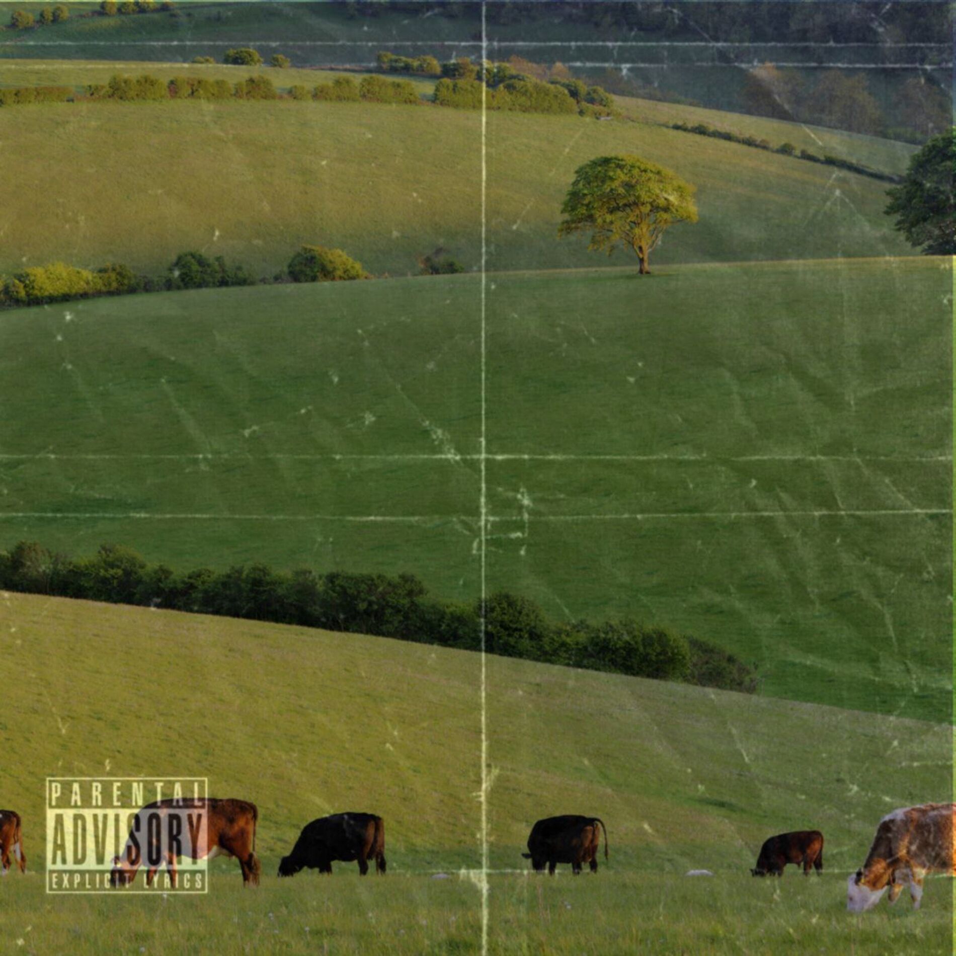 Album cover of В ДЕРЕВНЕ