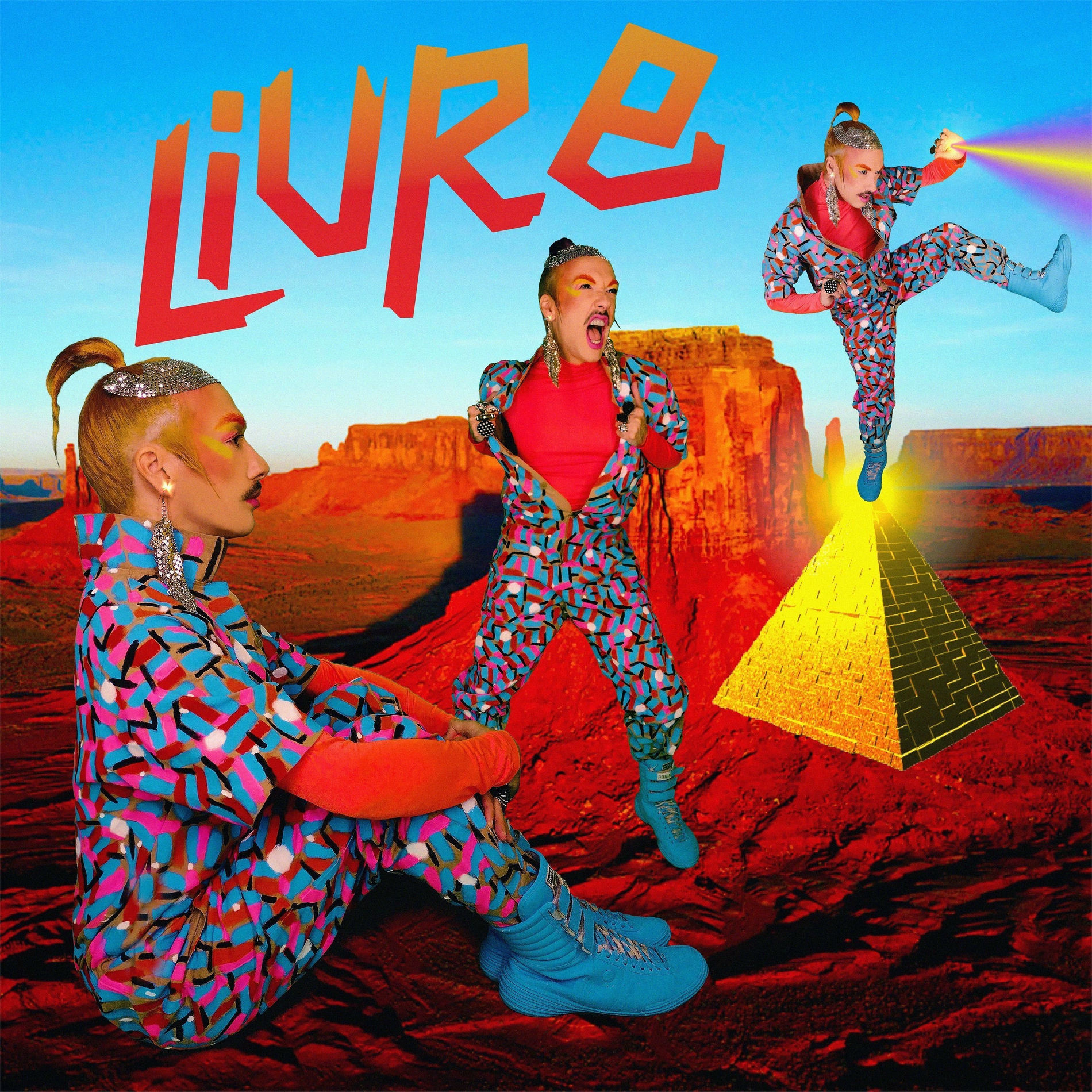 Album cover of Livre