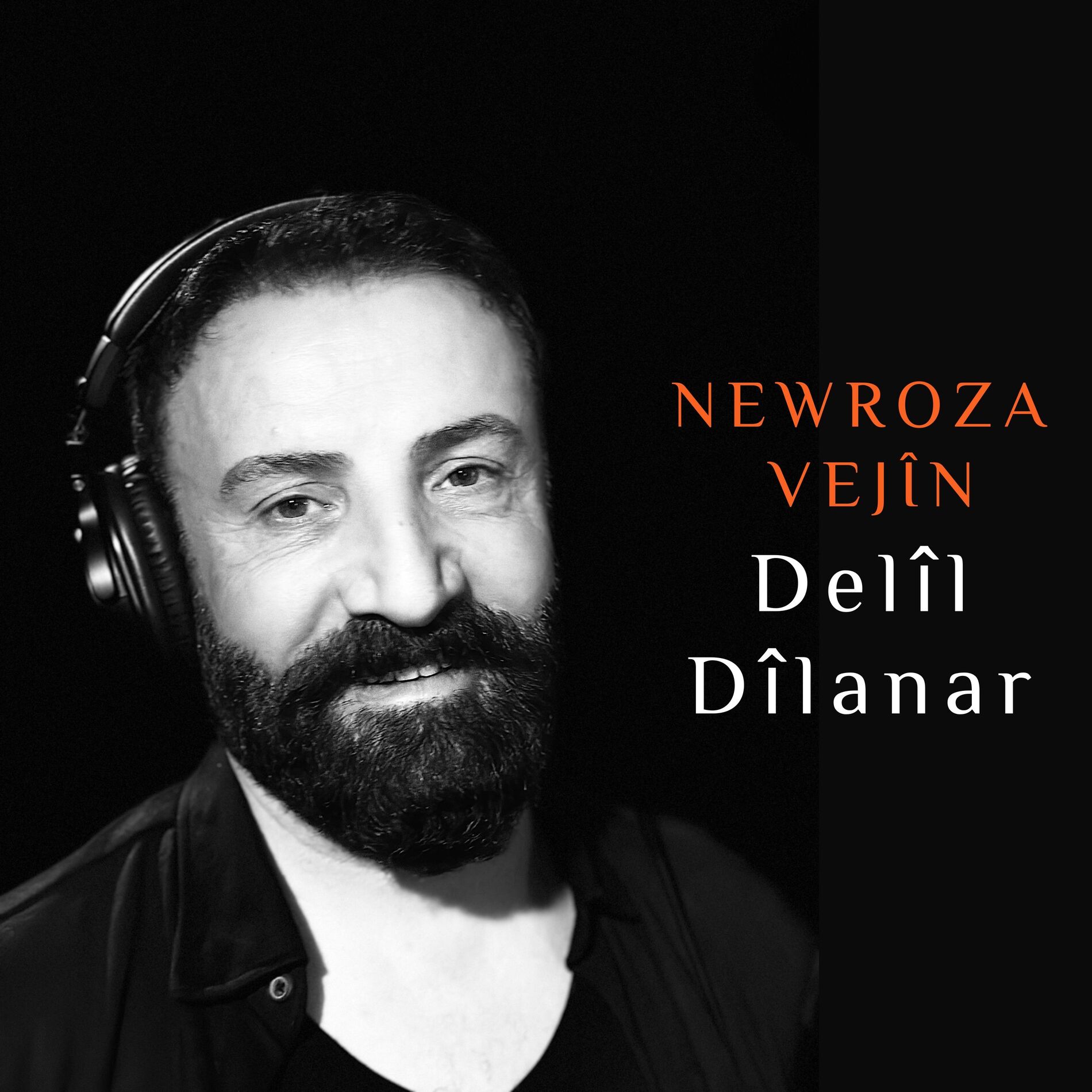 Album cover of Newroza Vejîn