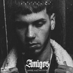 Cover of Amigos