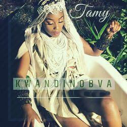 Cover of Kwandinobva