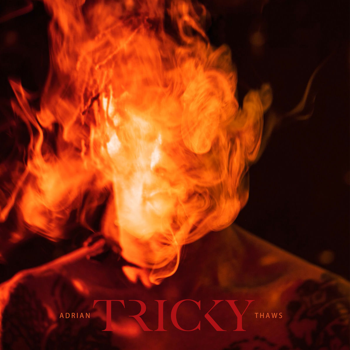 Album cover of Adrian Thaws