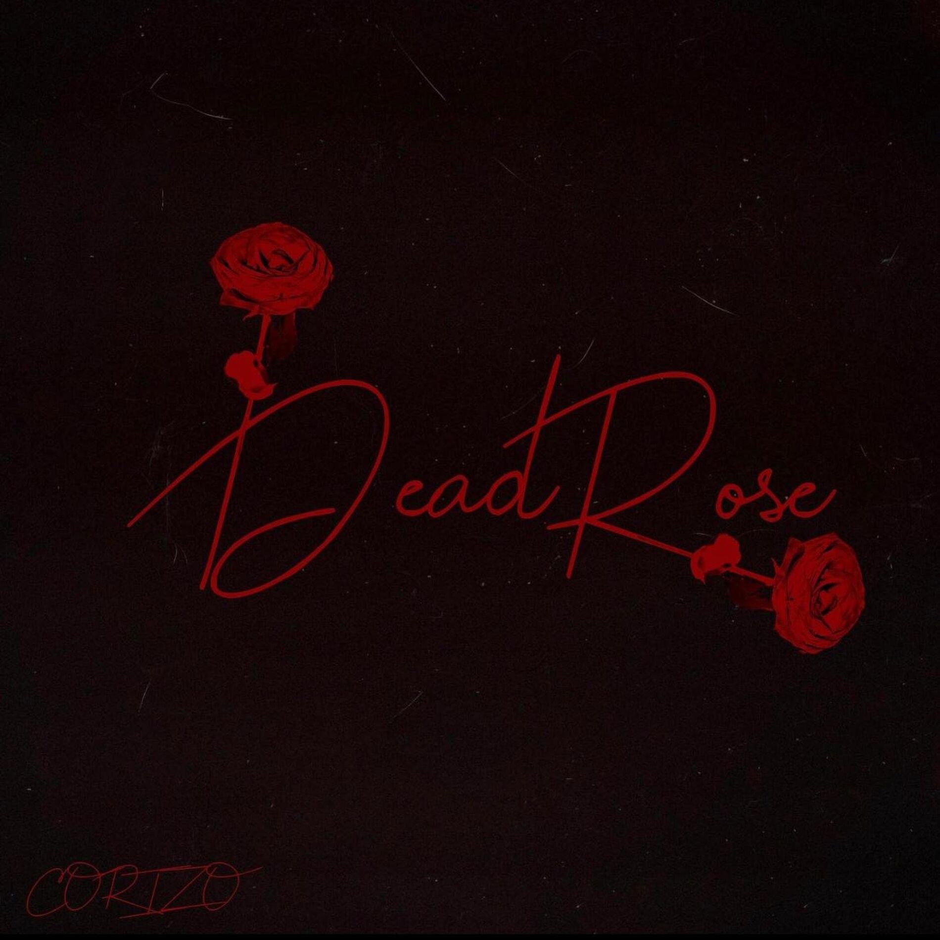 Corizo - GREAT FOOL | Deezer