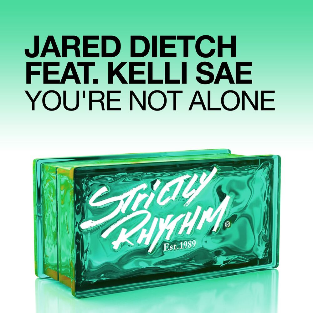 Picture of You're Not Alone (feat. Kelli Sae)
