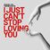 I Just Can't Stop Loving