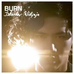 Cover of Burn
