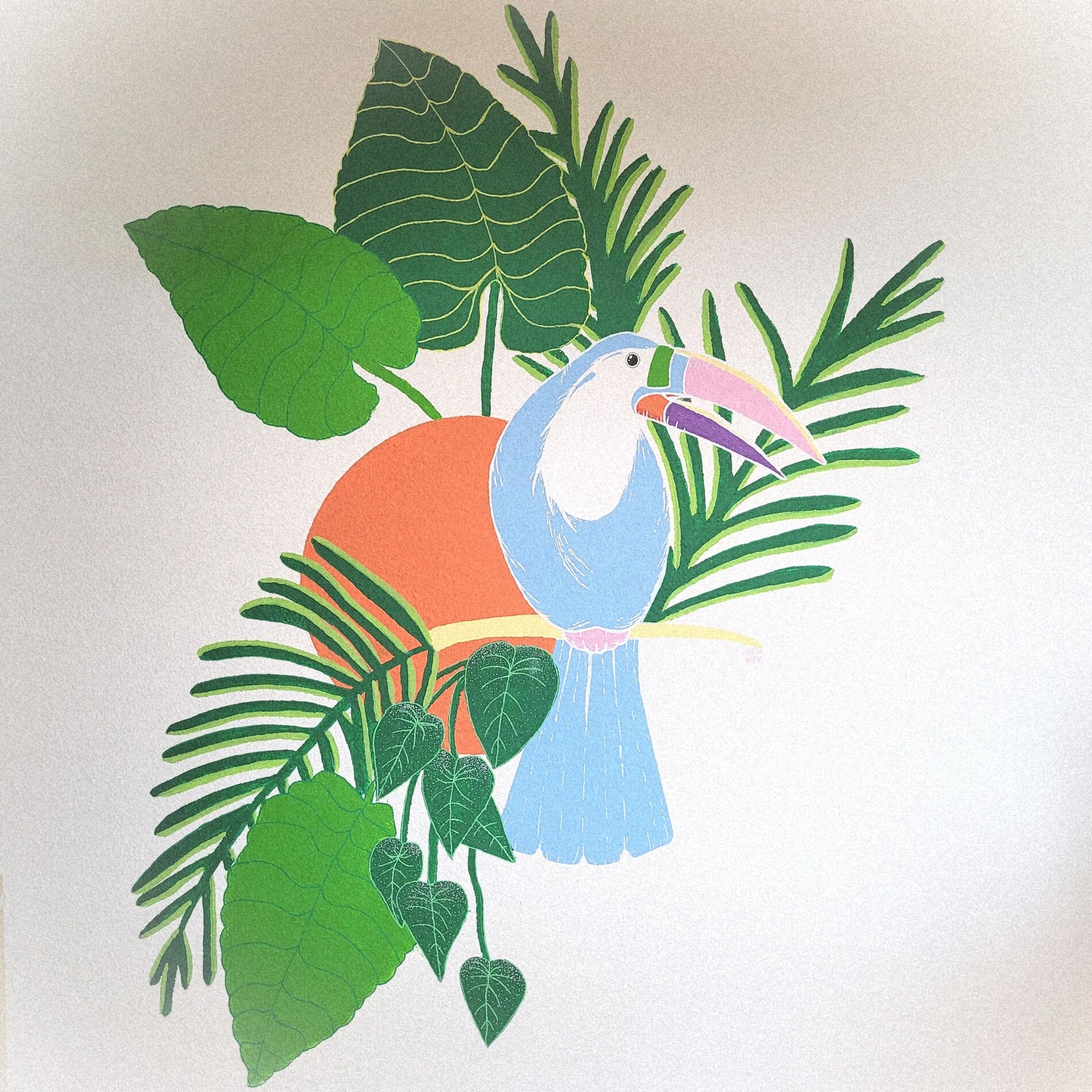 Album cover of Oiseaux