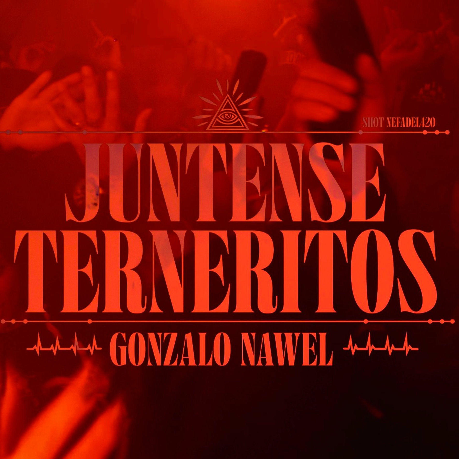 Album cover of Juntense Terneritos
