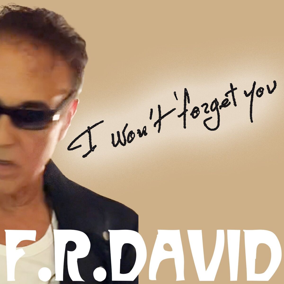 Album cover of I WON'T FORGET YOU