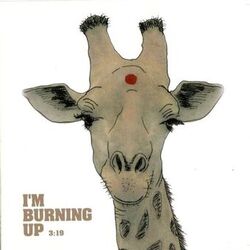 Cover of I'm Burning Up