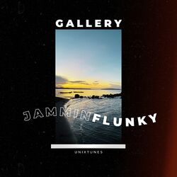 Cover of Gallery