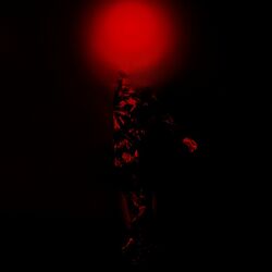 Cover of Crash & Burn (Remix Original Version)