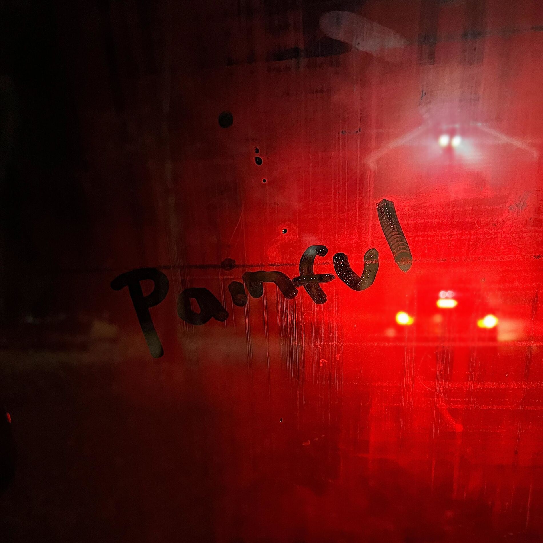 Album cover of Painful