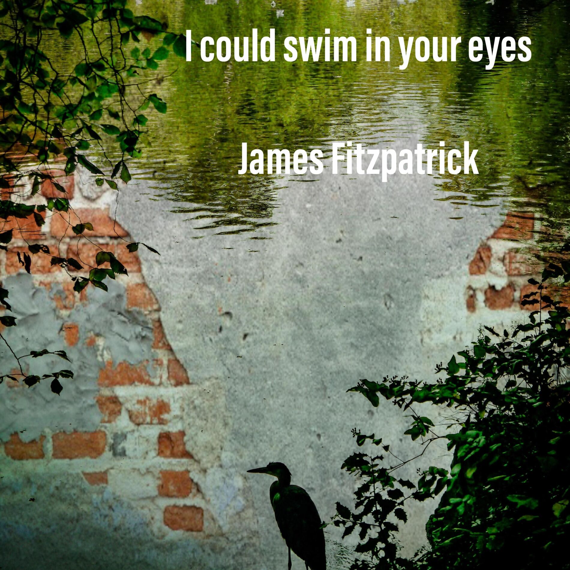 Album cover of I could swim in your eyes