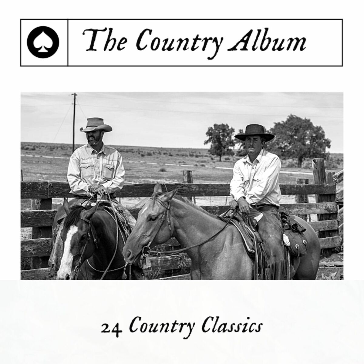 Album cover of The Country Album