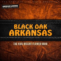 BLACK OAK ARKANSAS - KING BISCUIT HOUR