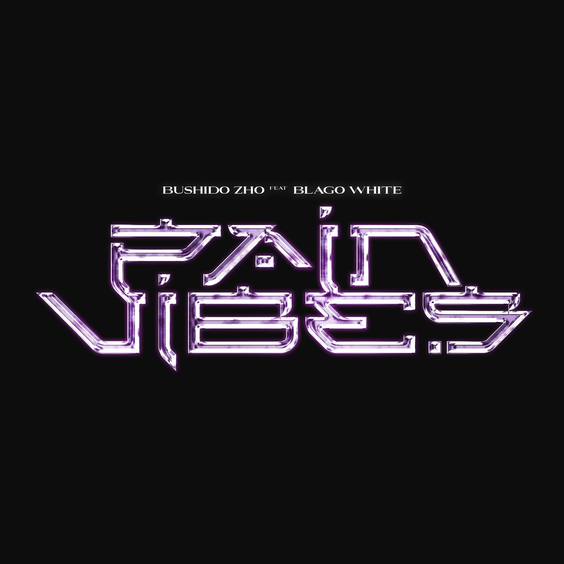 Album cover of PAIN VIBES