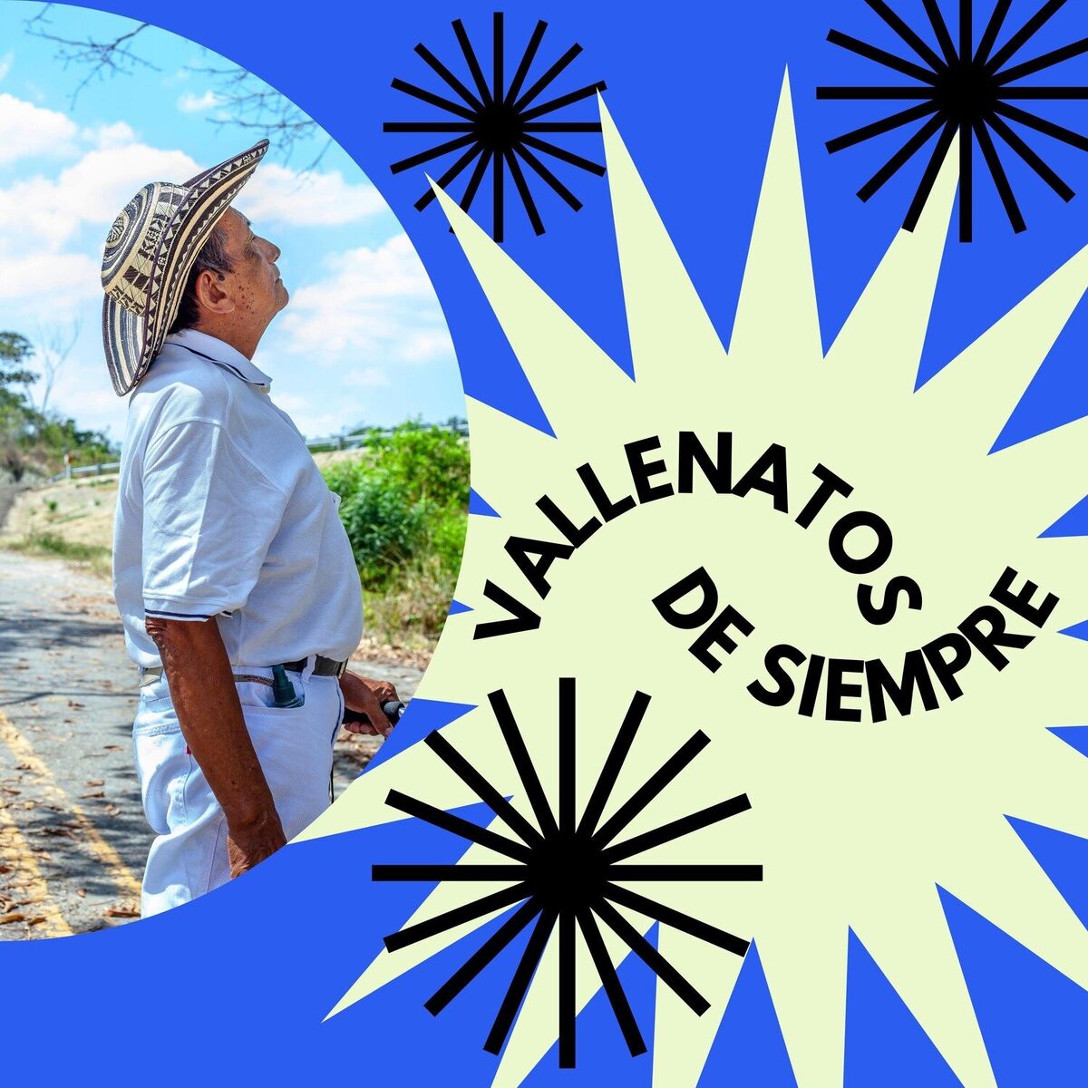 Album cover of Vallenatos de Siempre
