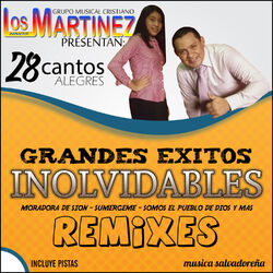 Cover of 28 Grandes Exitos Inolvidables Remixes Incluye Pistas