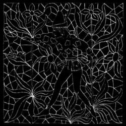 Cover of Oceanside Spider House
