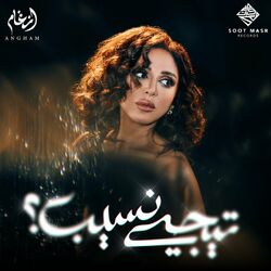 Cover of تيجي نسيب