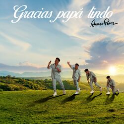 Cover of Gracias Papá Lindo