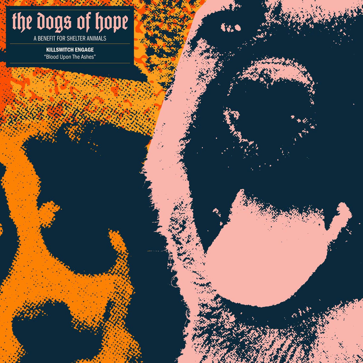 Album cover of Blood Upon The Ashes