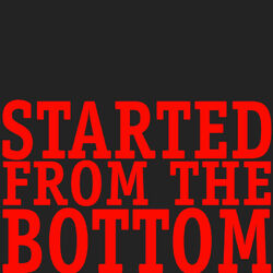 Cover of Started from the Bottom