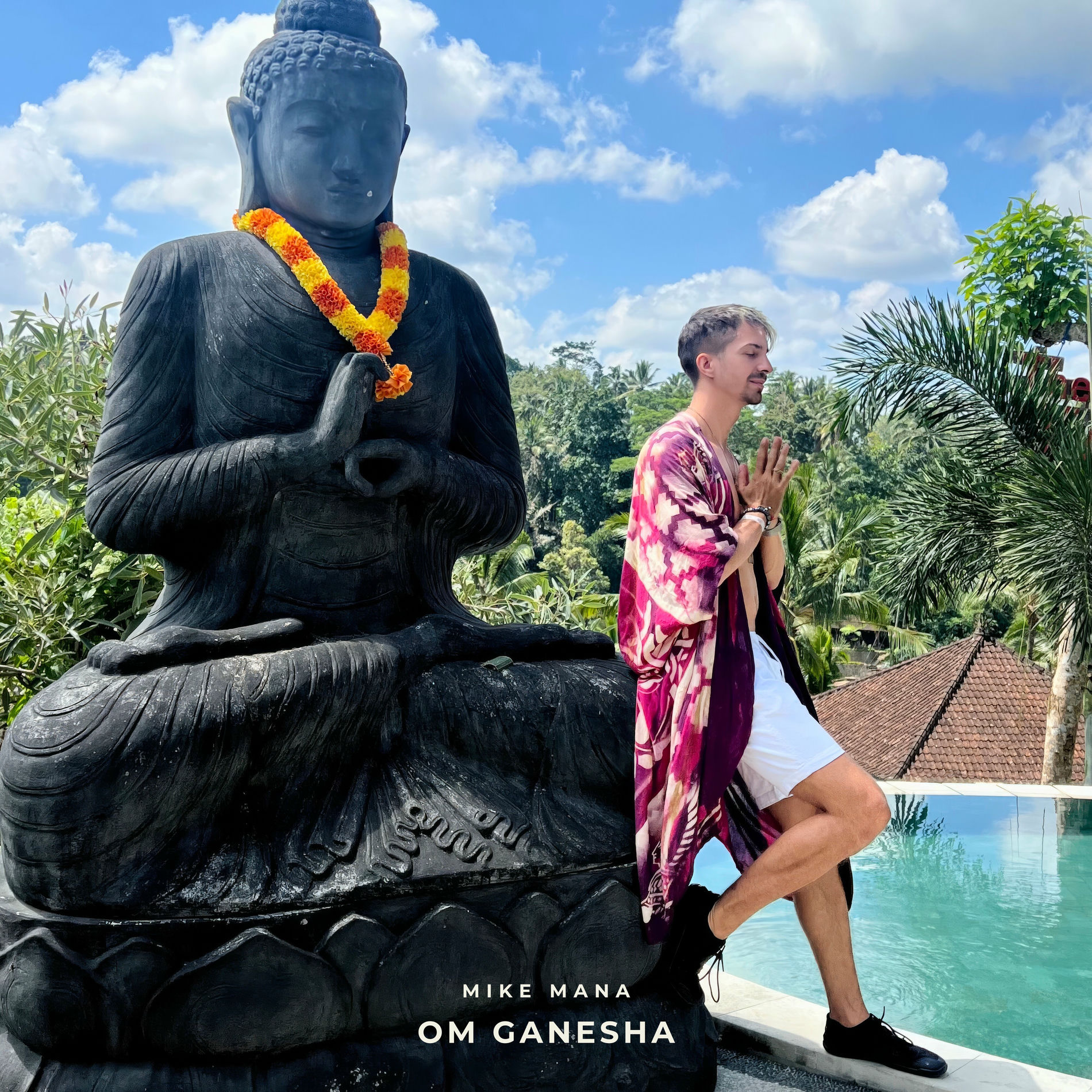 Album cover of Om Ganesha