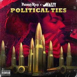 Cover of Political Ties