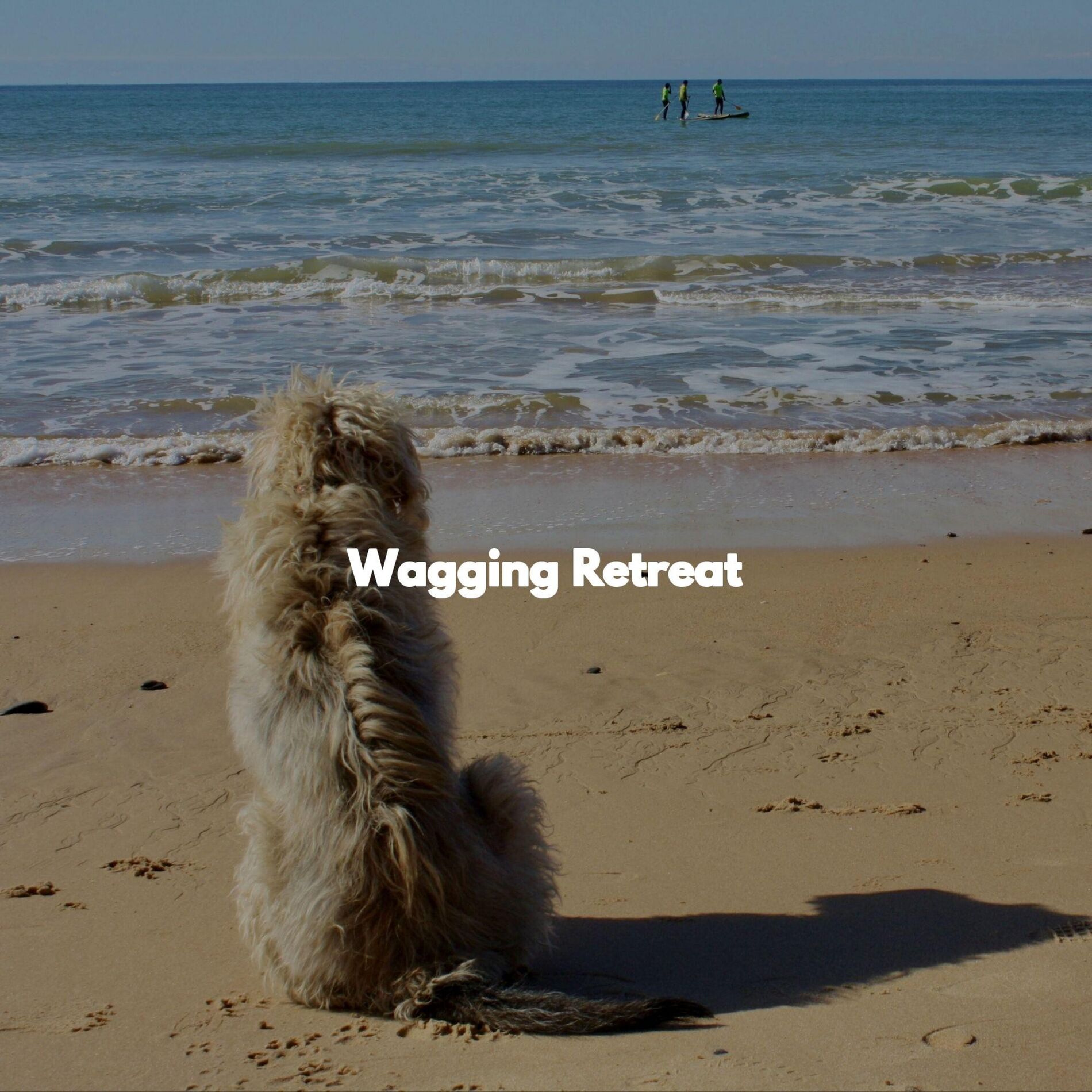 Album cover of Wagging Retreat