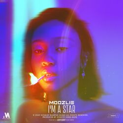 Cover of I'm a Star