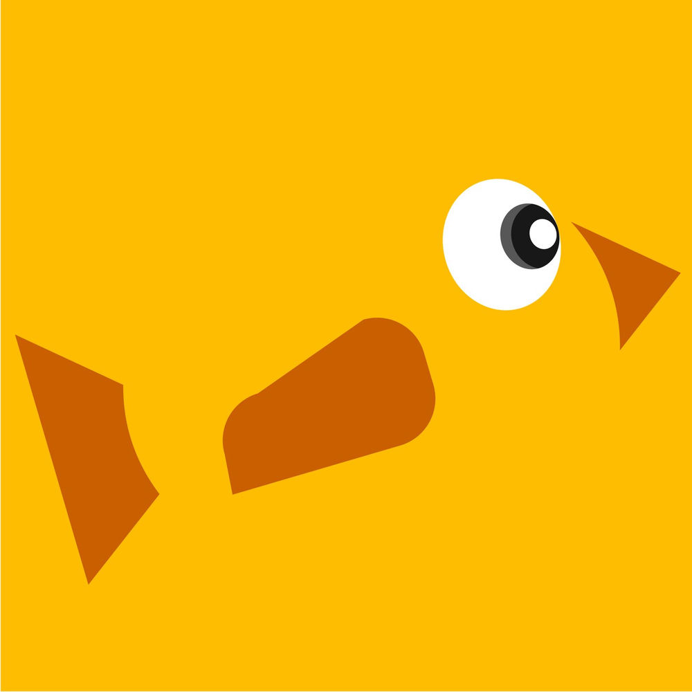 Album artwork for Birds by Rafael