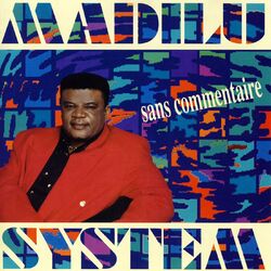 Cover of Sans commentaire