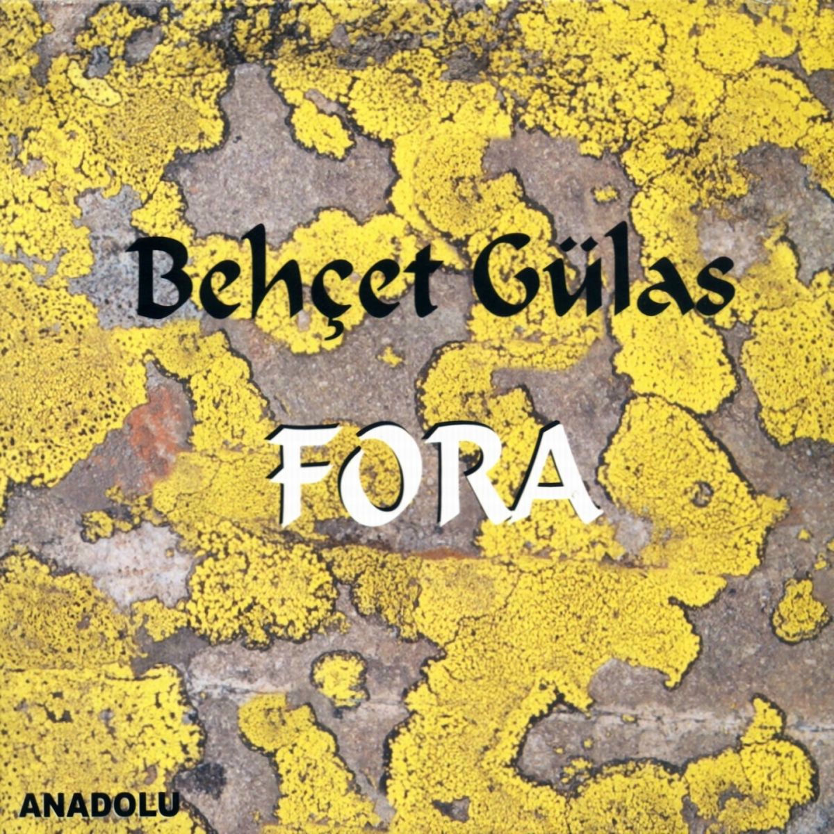 Album cover of Fora
