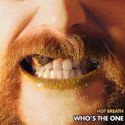 Cover of Who's the One