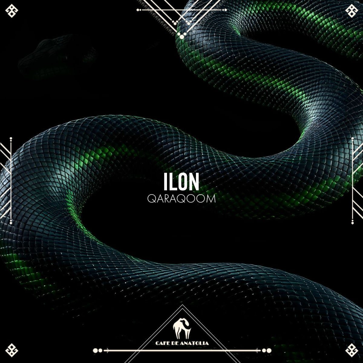 Album cover of Ilon