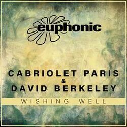Cover of Wishing Well